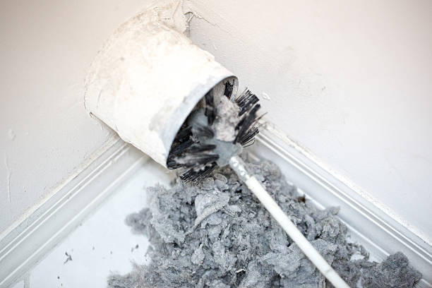 Best Affordable Air Duct Cleaning  in Erie, IL